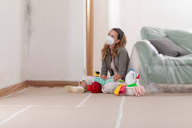 Reliable Commercial Mold Remediation contractor in Woodbury, NY by WQB Mold Removal